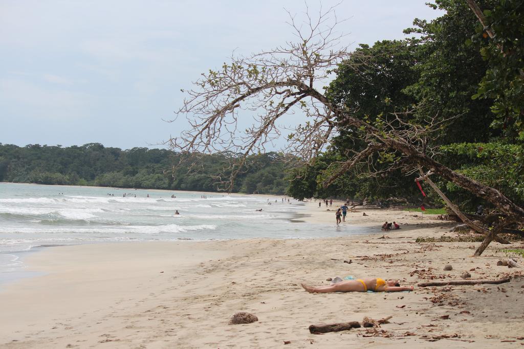 DE TORTUGAS Y PEREZOSOS. COSTA RICA 2019 - Blogs de Costa Rica - DÍA 5: PARQUE NACIONAL CAHUITA (4)