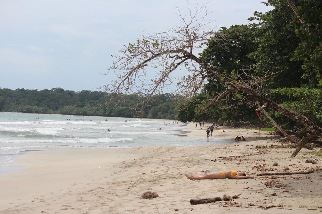 DÍA 5: PARQUE NACIONAL CAHUITA - DE TORTUGAS Y PEREZOSOS. COSTA RICA 2019 (4)