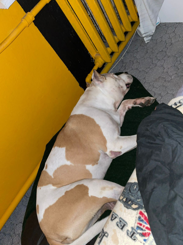 801B0AD3-843B-4357-8A71-318F5BBC8B4E