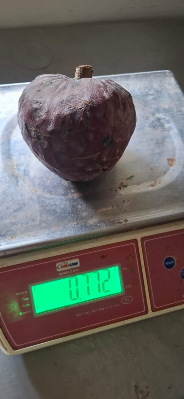 Whats App Image 2026 03 10 at 7 47 57 PM