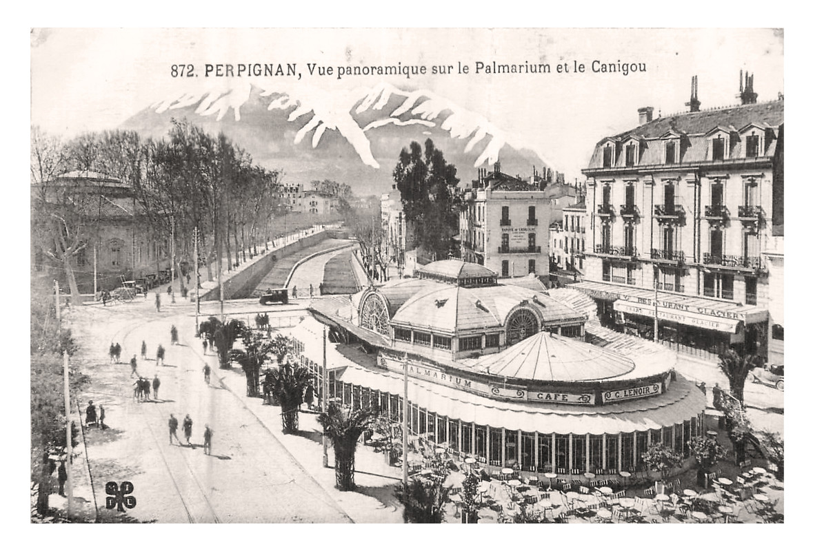 Perpignan, Pyrénées Orientales, le Palmarium et le Canigou (MTIL 872)