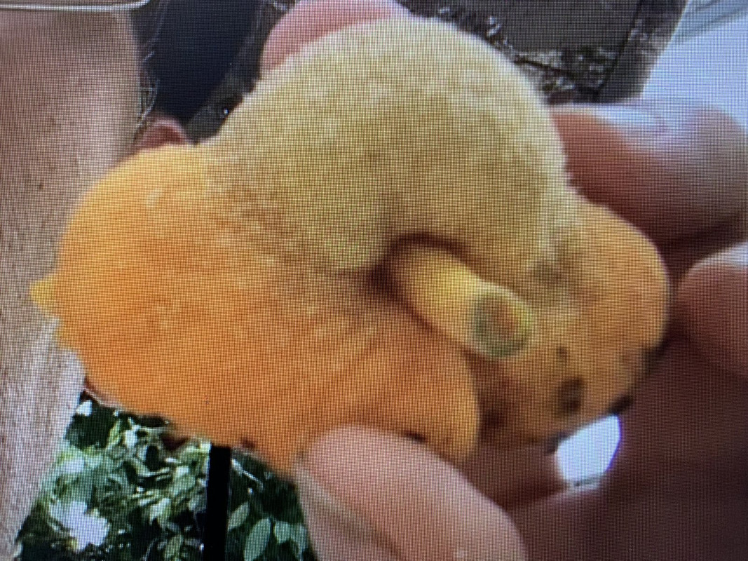 52EEFAA4-3187-41A8-AA37-4BA2EE8CBDEA