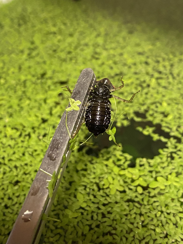 F51126B5-2970-4AD1-A681-3271EFB424EC