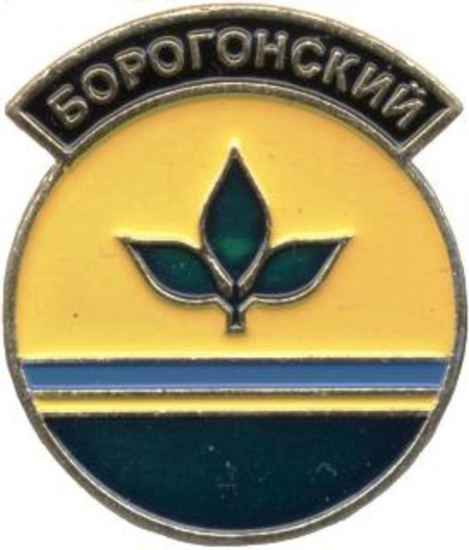Борогонский
