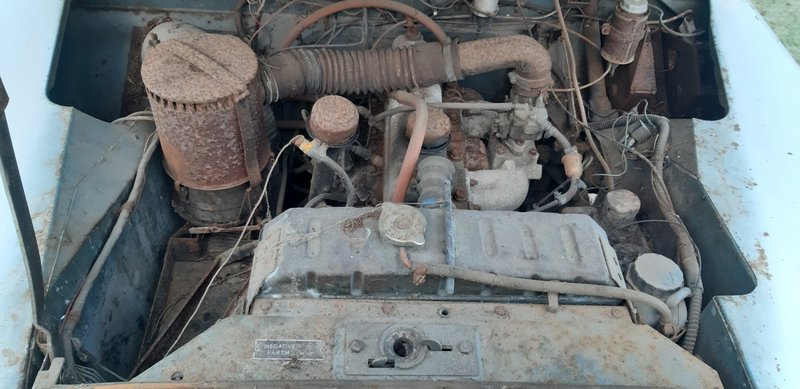 20221120_141705 (Medium)
