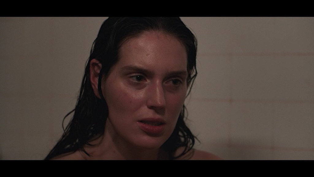 PDVD 001