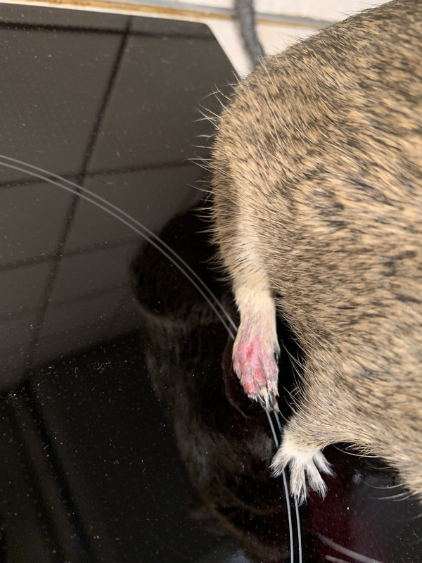 33AEB5E1-A7B0-4074-8DCD-A0F741473333