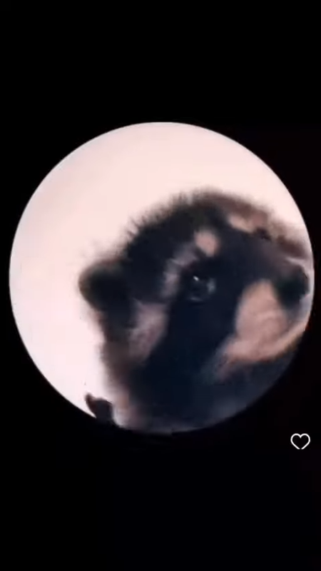 videoframe_1277