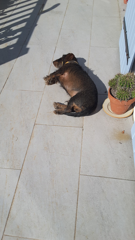 [Image: 20220317-141538.jpg]