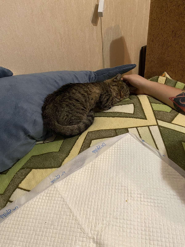 01D040DD-3705-45B3-B44B-6F0C5F0E15F8