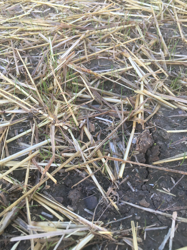 0864A9A7-71E3-4711-A91F-97F6DB857242