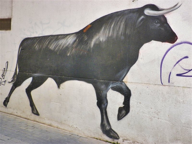 Murcia y sus pueblos-1991/2022 - Blogs de España - MURCIA CAPITAL-2012/2013/2019 (77)