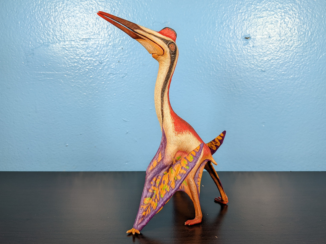 Custom Dinotopia Quetzalcoatlus "Skybax" by paintingdinos PXL-20220304-004521390-MP
