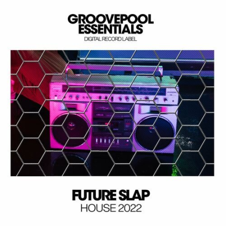 VA - Future Slap House 2022 (2022)