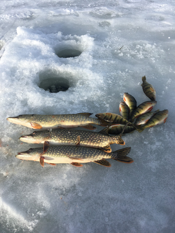 E7F82805-5584-44C3-A756-BBA1FC73A4F1