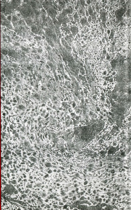 p0002