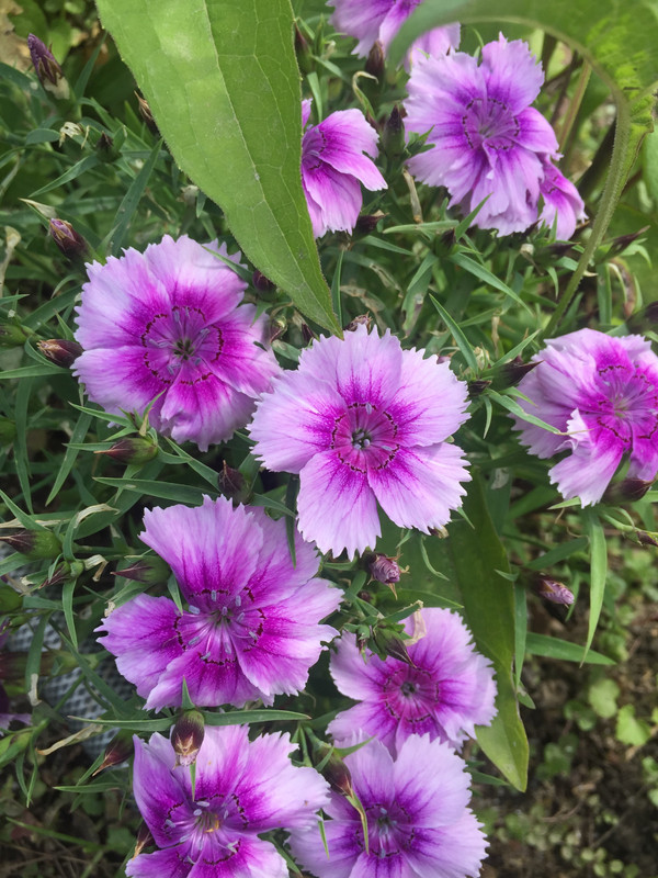 FC97B66B-0E4B-49AA-A7A0-7017B7B9B676