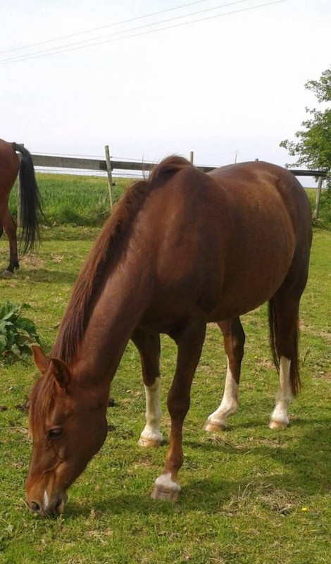 [Image: 20230320-211042.jpg]