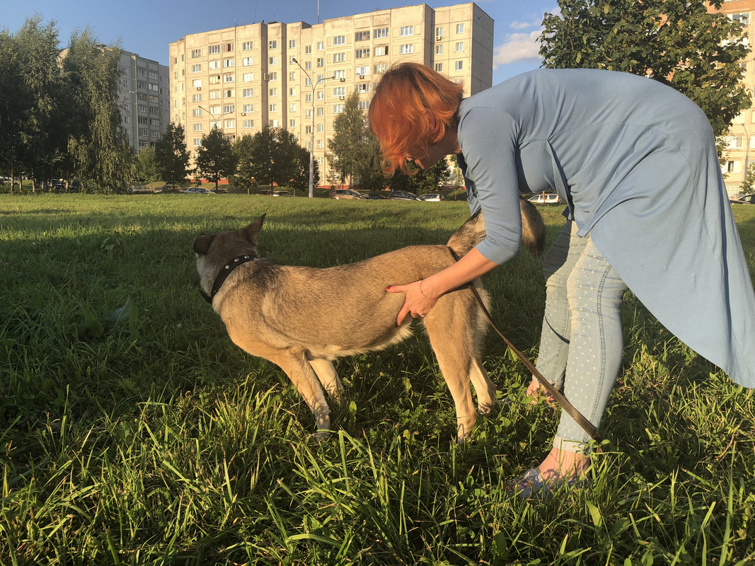 DA685343-003D-4F8F-A9D5-C4110DC25E8B