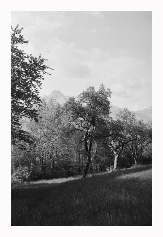 Yashica Electro 35 GSN_03mag2022_10 (880x1280)