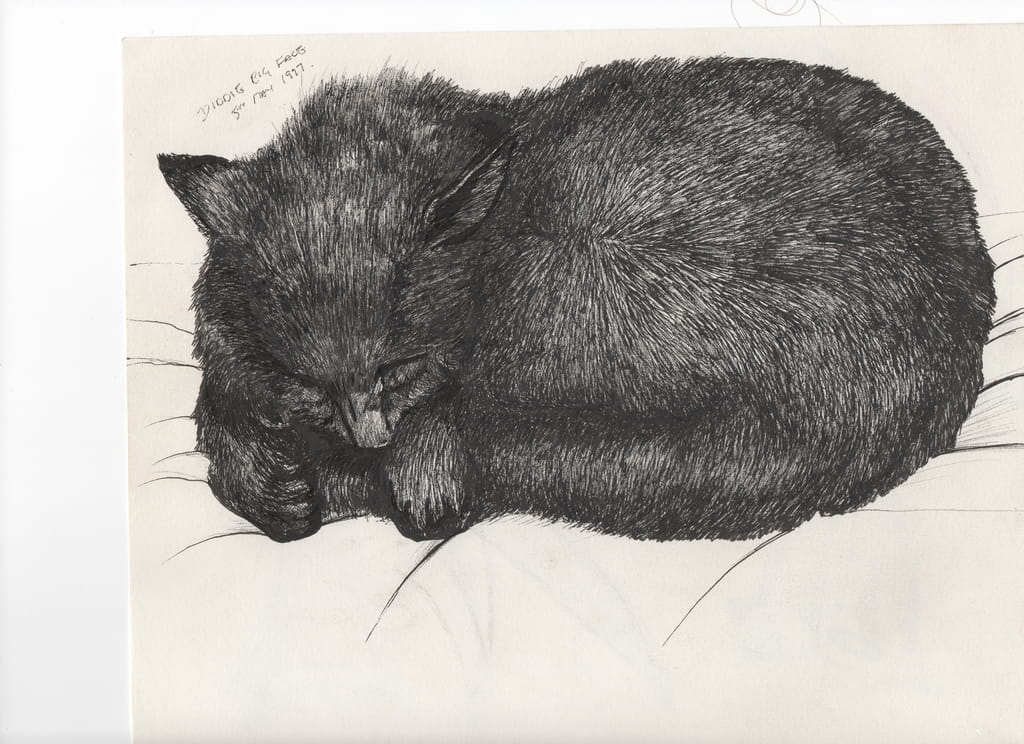 Vincent-Alexander-Booth-Diddy-big-face-1997-ink-on-paper-Meister-Drucke-371926