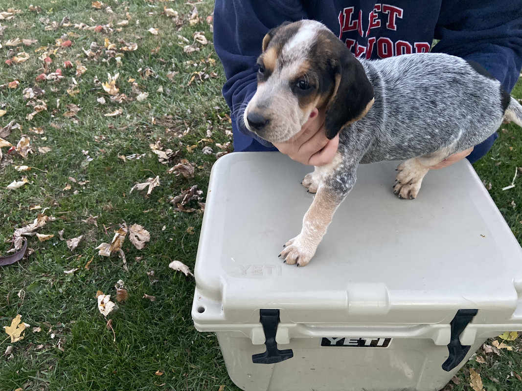 7584E548-A53E-47CD-ADD2-1162C8E0C558