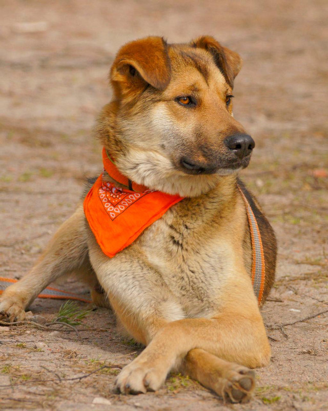 Изображение WhatsApp 2024-08-07 в 17.17.06_37706756