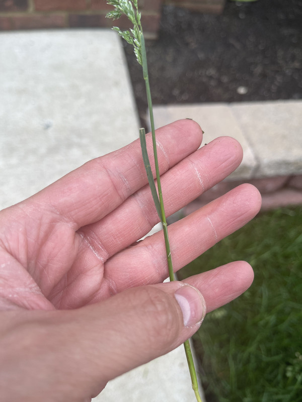 C6B70D62-51CC-4695-8CB6-37A165B7B62B