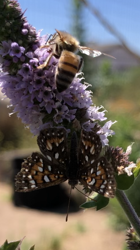 F19B2A0D-8DC7-45A3-AD47-95D0469CED66