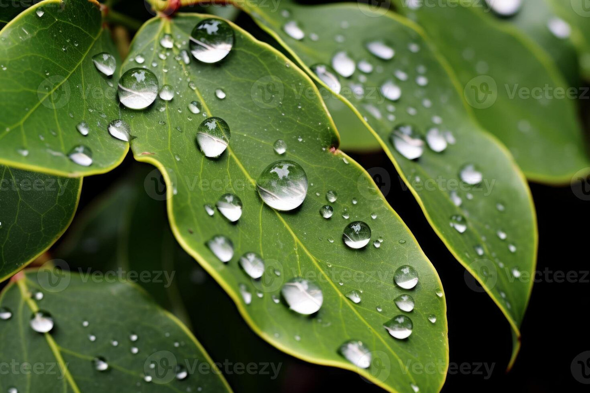 ai-generated-a-close-up-reflection-of-raindrops-on-the-leaves-of-a-tree-generative-ai-photo