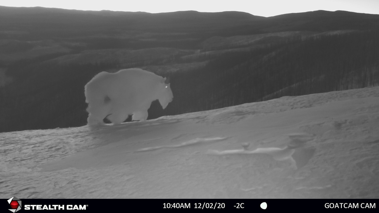 91DB348A-5919-4D3F-9369-F3A374799D9D