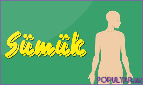 Sümükləri möhkəmləndirən 6 ərzaq (Video) Sümükləri möhkəmləndirən 6 ərzaq (Video)