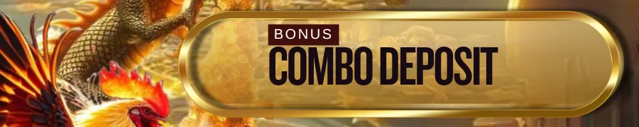 COMBO DEPOSIT