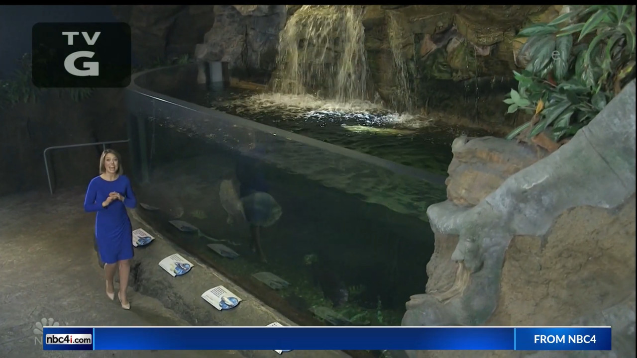 11.07 - 15.00.00 - Earth Odyssey With Dylan Dreyer. The world's smart....ts_snapshot_00.24.58.086