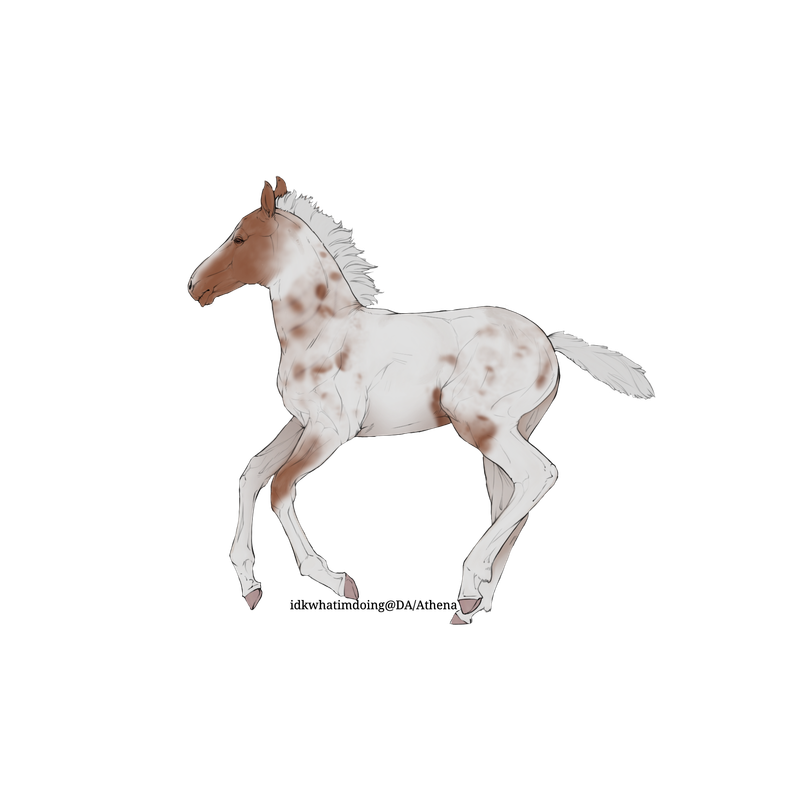 Untitled88-20250725185019.png