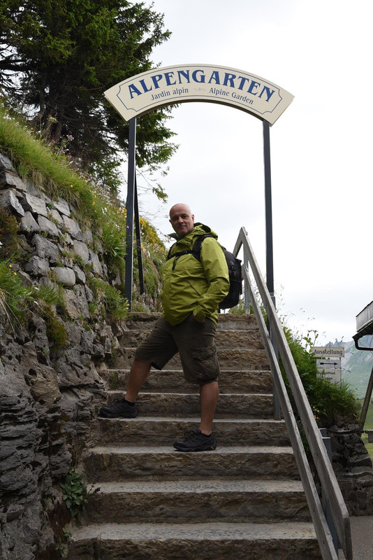 De casa a Grindelwald (Zona de Interlaken) - Huyendo del COVID a los Alpes (2020) (37)