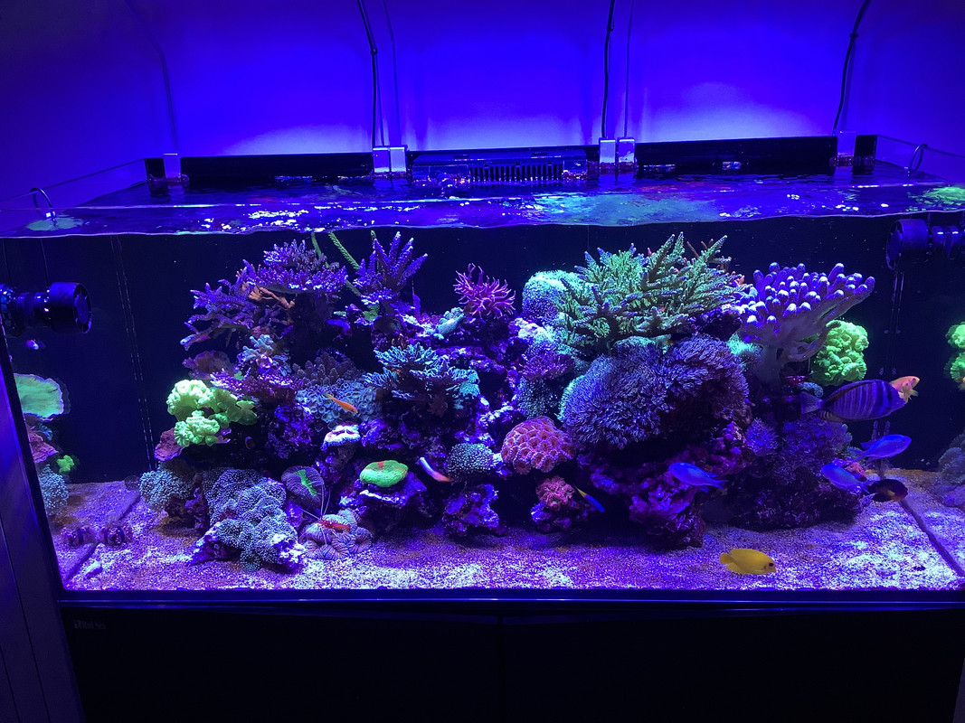 5DC84104-9A56-404E-8B74-BD3A212203D9