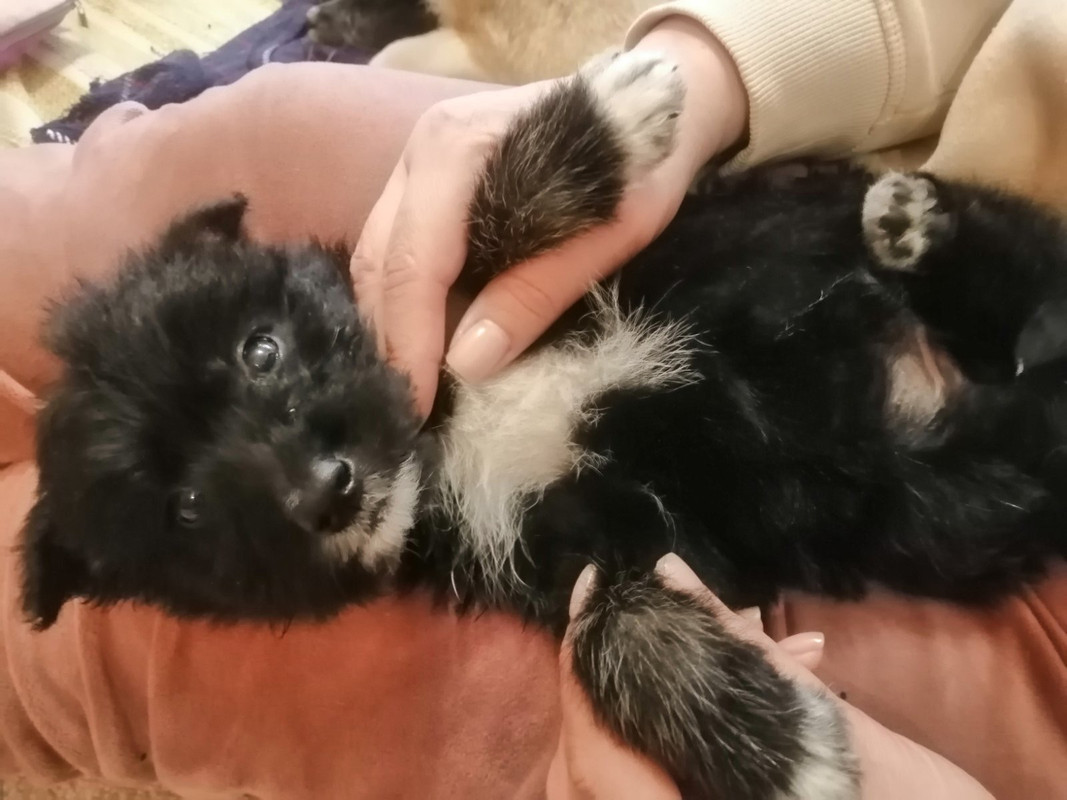 6E3DAF1B-C90C-426E-BC0E-CFC9AC78B55E