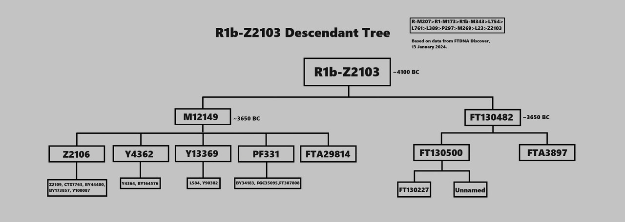 [Image: R1b-Z2103-Descendant-Tree.jpg]