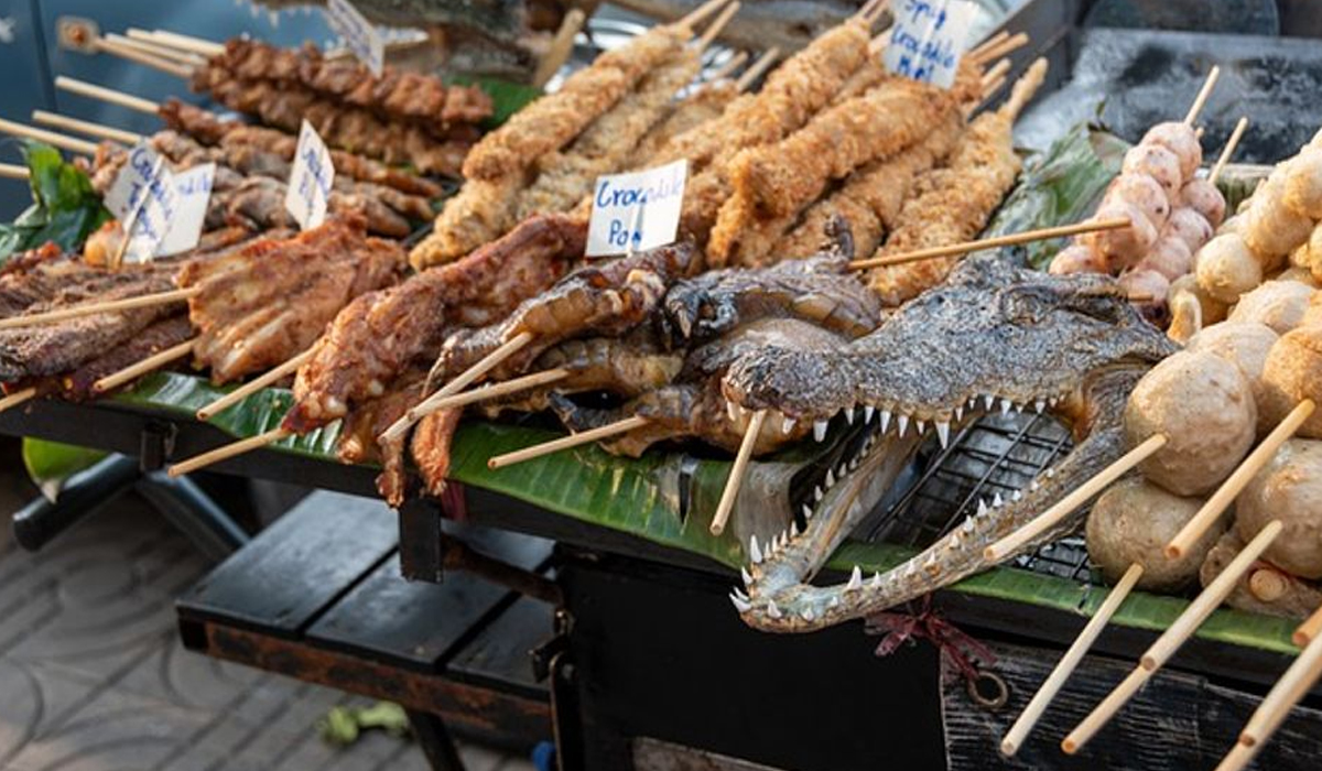 Crocodile Meat: Salah Satu Kuliner Ekstrem Berasal dari Afrika