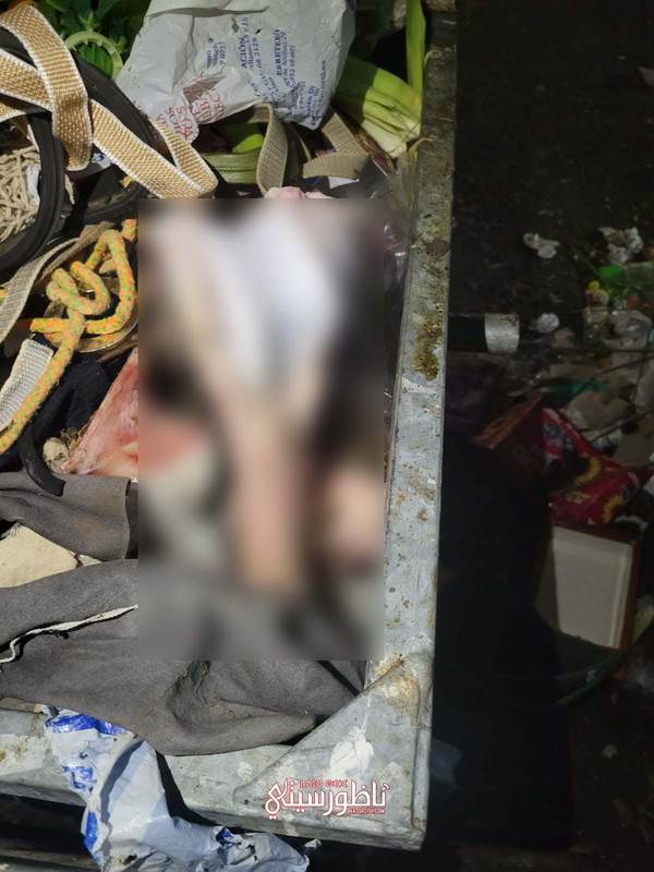 WhatsApp Image 2024-08-27 at 23.27.57 (3)