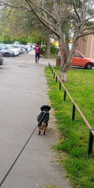 Kép