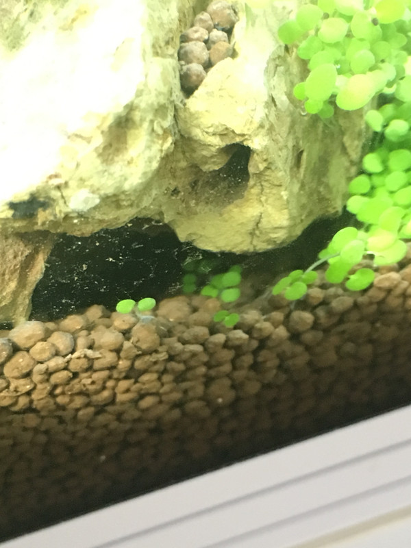 E14323C8-FFD4-4EA1-AE2B-8485926A0F95