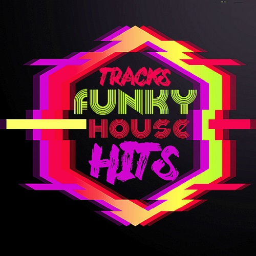 Funky Tracks House Hits (2024)