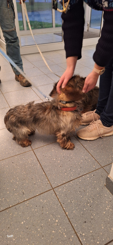 [Image: 20250117-174756.jpg]