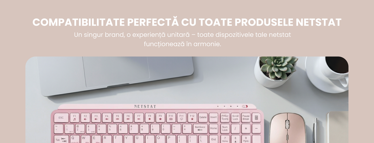 Mouse Wireless NETSTAT - utilizare birou