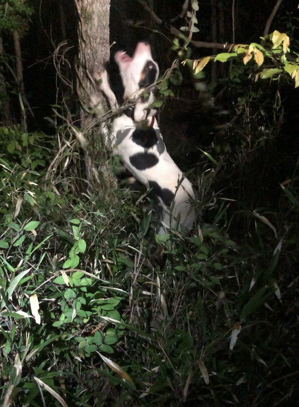 FEF63FF6-4DB9-4CBC-8DD1-4AD444D1BB24