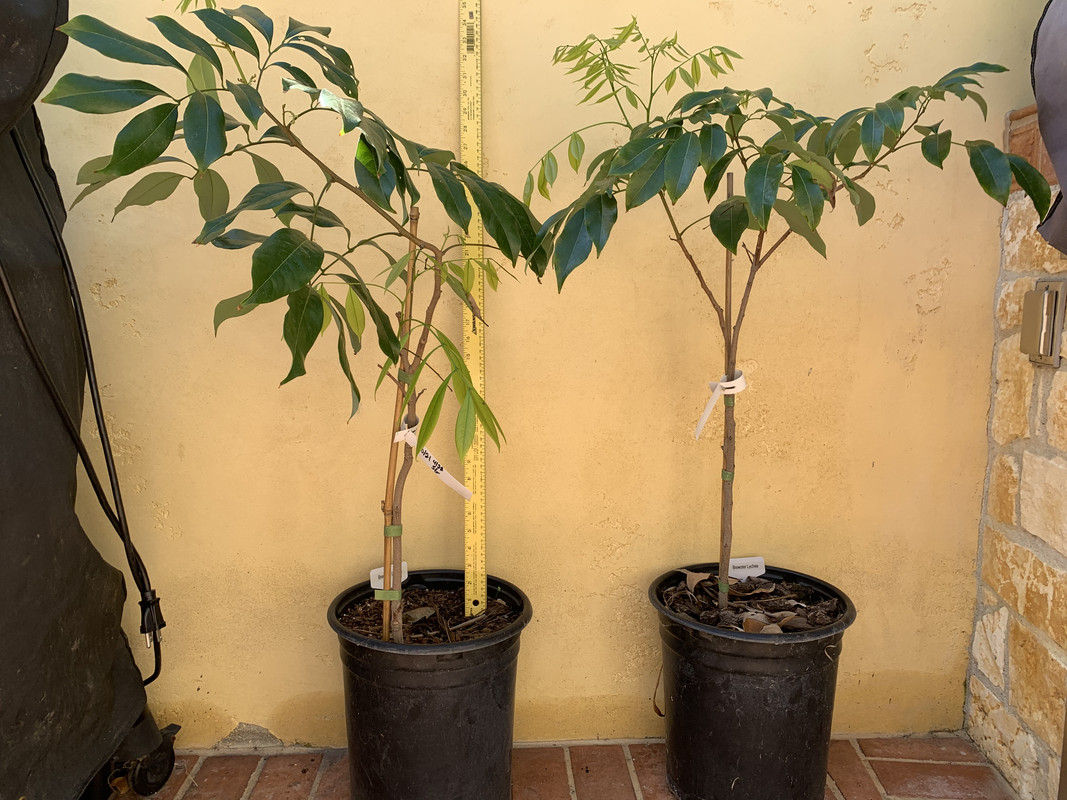 82BBA24B-6EEA-4C40-8BFF-C757F2C77D33