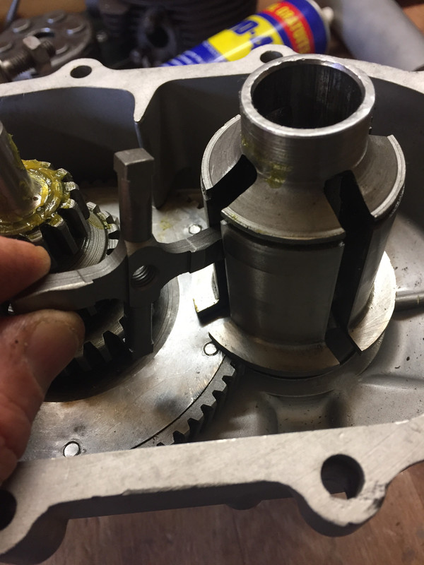 C243299F-B31F-4D6B-9FC8-AEBE4B9CB85F