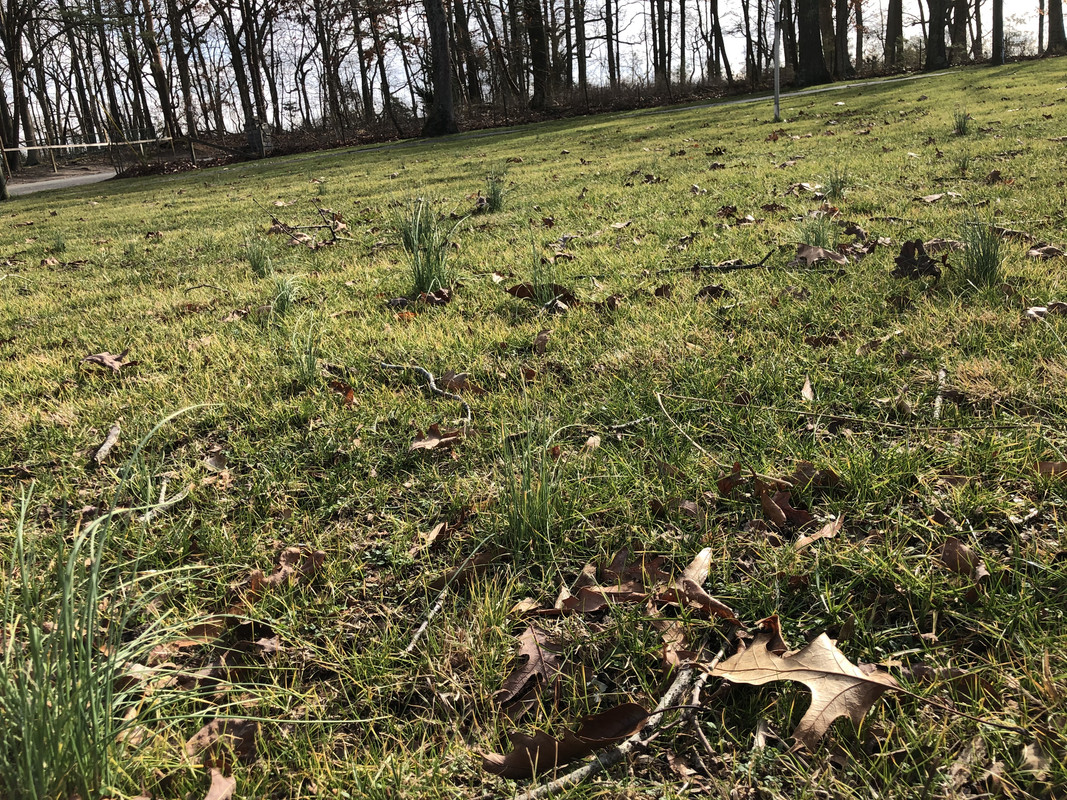 4A3C95D5-160C-4ADC-AB1C-9BFB45278807